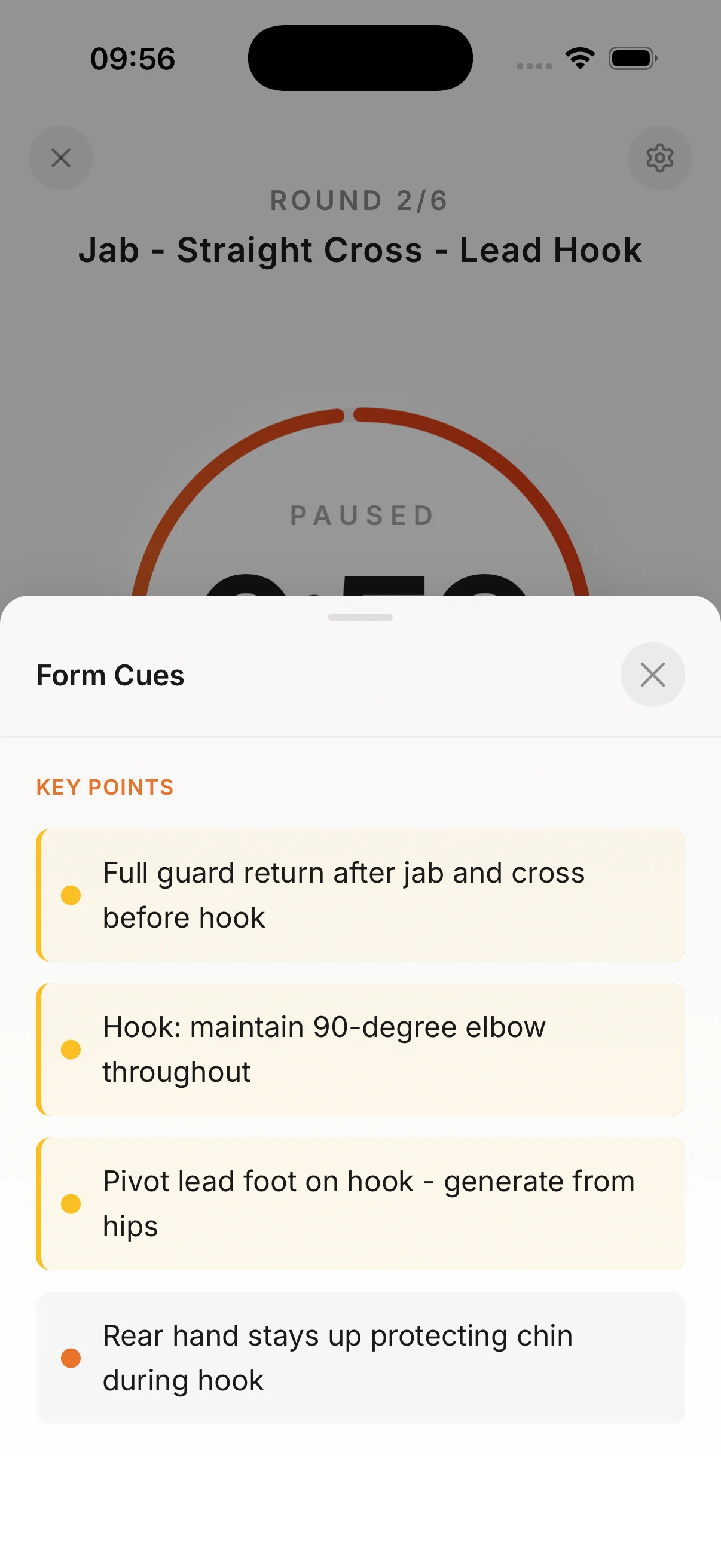 Form Cues